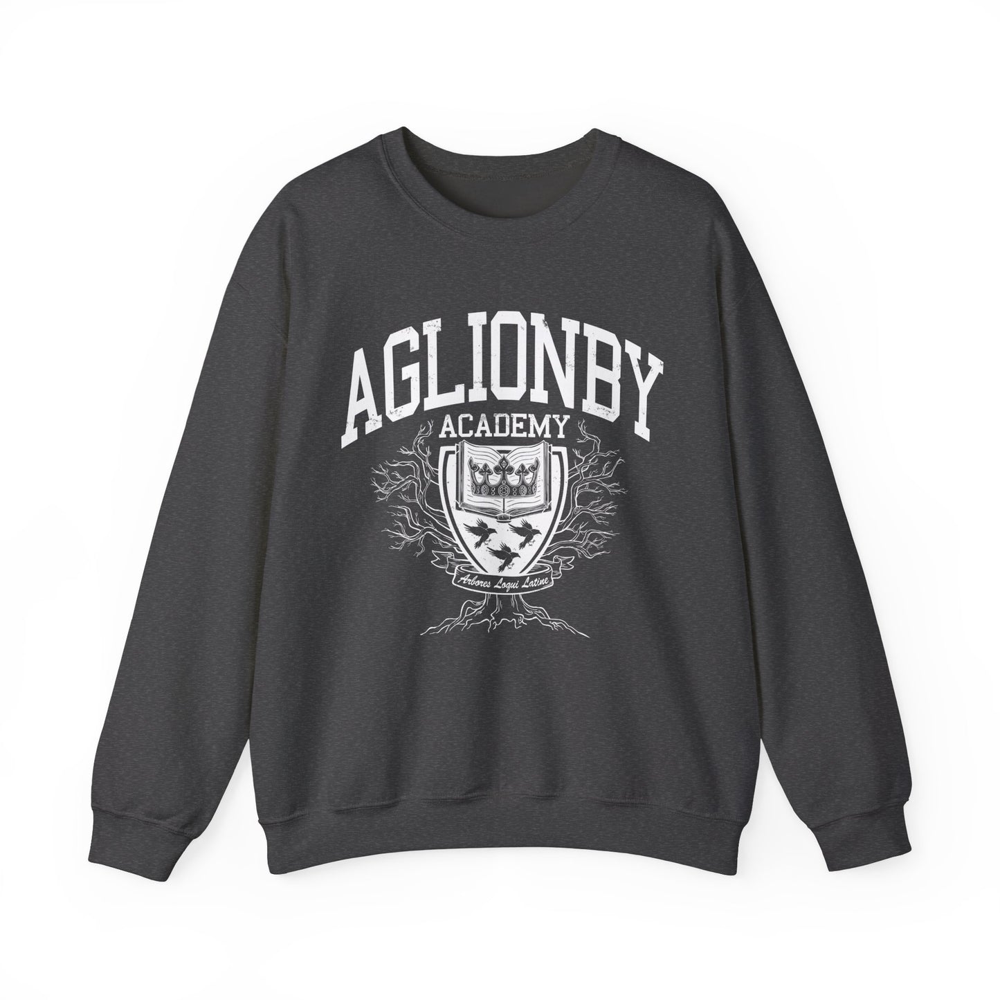 Aglionby academy from the raven cycle sweatshirt in grey