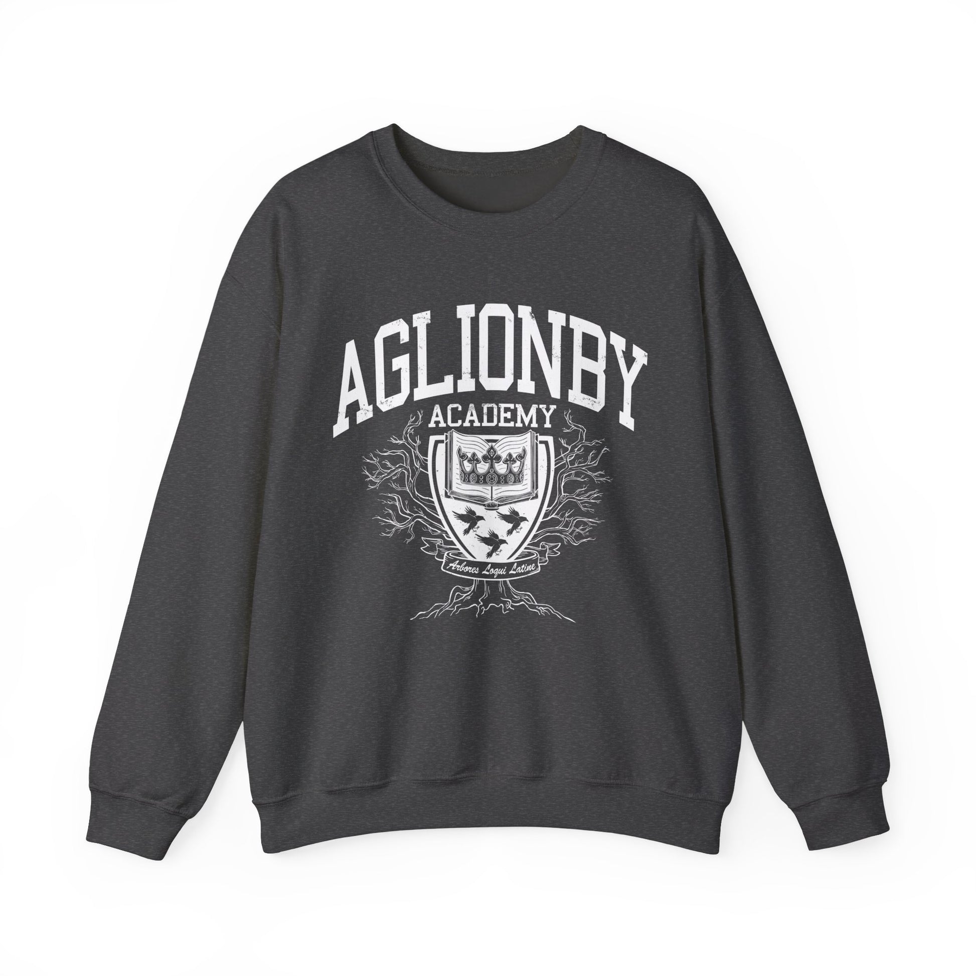 Aglionby academy from the raven cycle sweatshirt in grey